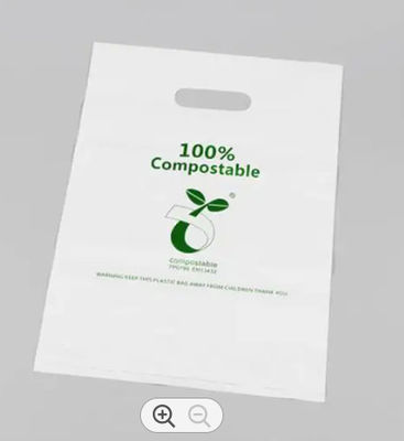 5LB Biodegradable Shopping Bag Customized Packaging Shopping Bag Compostable