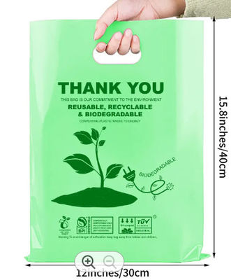 Custom Compostable Biodegradable Shopping Bags 1LB / 2LB / 5LB