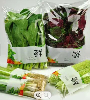 Vegetables Plastic Bread Bag Micro Perforated Bags Eco Friendly Waterproof