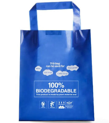 Customized Die Cut Plastic Bag Sustainable Patch Handle Bag Eco Friendly