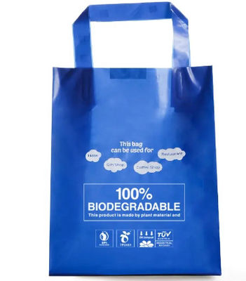 Poly Loop Handle Die Cut Shopping Bag Recycled With Gravure Printing