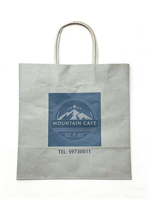 Custom Disposable Kraft Paper  Twisted  handle  Bag Printing MOQ 50000 Pieces Take Away Bag