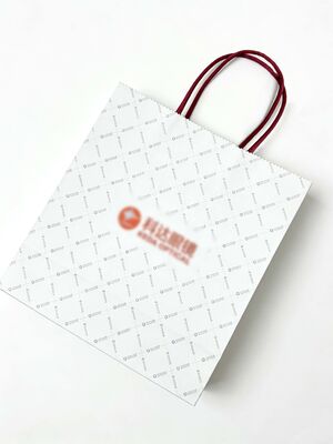 Customizable Disposable Kraft Paper  twisted  handle  Bag Printing  Take Away Bag Shopping Bags