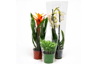 Customizable foldable plastic vase bag for flowers