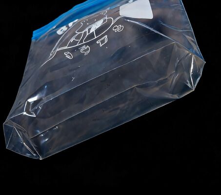 PE Food Grade Double Zip Lock Custom Printed Large Plastic Ziplock For Fruits and VegetablesStorage Waterproof