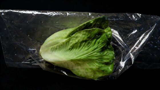 Best price Green Bags Keep Vegetables Fresh Micro-perforated Liner clear CPP Plastic lettuce  Bag Packing for Fruit