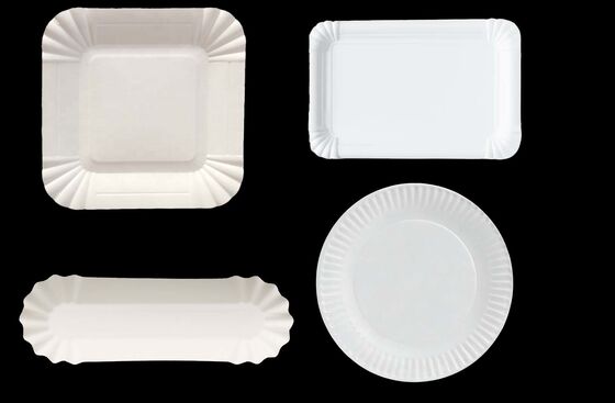 Heavy Duty White Paper Plates Compostable Disposable Tableware Perfect for Catering Food Trucks Festivals and Corporate Events