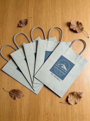 Custom Disposable Kraft Paper  Twisted  handle  Bag Printing MOQ 50000 Pieces Take Away Bag