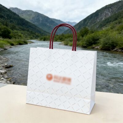 Customizable Disposable Kraft Paper  twisted  handle  Bag Printing  Take Away Bag Shopping Bags