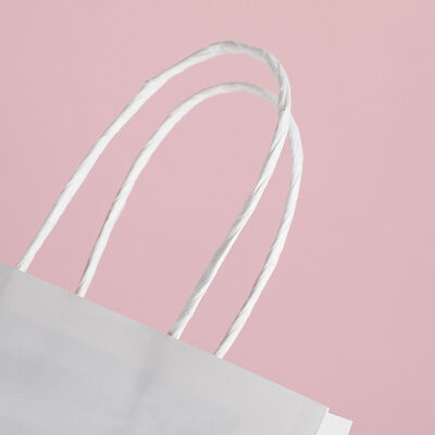 Custom Recyclable Disposable Kraft Paper Twisted Handle  Bag Printing Take Away Bag