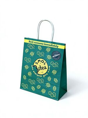 Custom Recyclable Disposable Kraft Paper Twisted Handle  Bag Printing for Shopping Bakery