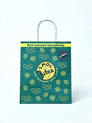 Custom Recyclable Disposable Kraft Paper Twisted Handle  Bag Printing for Shopping Bakery