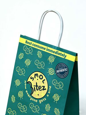 Custom Recyclable Disposable Kraft Paper Twisted Handle  Bag Printing for Shopping Bakery