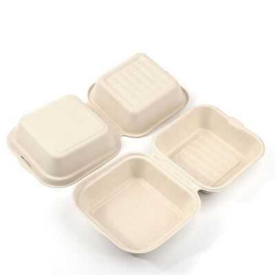 Custom Environmental-Friendly Disposable Biodegradable Sugarcane Fiber Clamshell Container Lid Takeaway Lunch Box