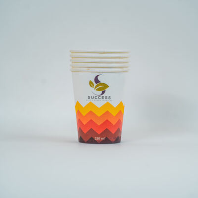 Custom Printed Degradable Wholesale 10 12oz Disposable Double Wall Hot Coffee Paper Cup