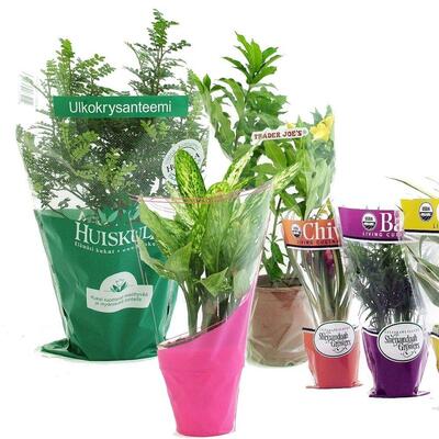 Customizable foldable plastic vase bag for flowers