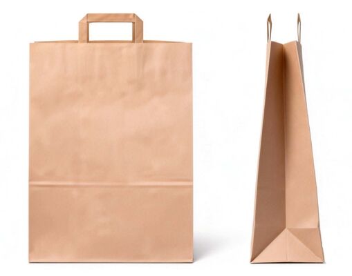 Custom Disposable Kraft Paper Twisted  Handle  Bag Printing MOQ 50000 Pieces