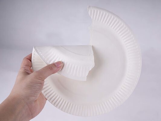 Durable Paper Plates disposable heavy duty large size ideal for catering events parties outdoor picnics and food service
