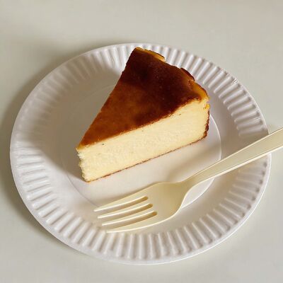 Durable Paper Plates disposable heavy duty large size ideal for catering events parties outdoor picnics and food service