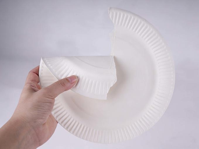 Custom Disposable White Round Party Paper Plates – 9-inch Food-Grade Eco-Friendly